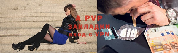 сатива Зеленокумск