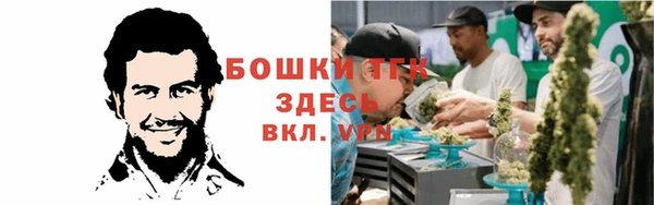 сатива Зеленокумск