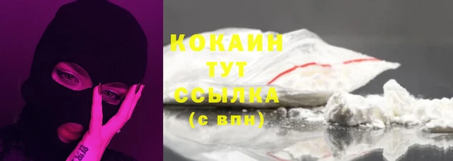 сатива Зеленокумск