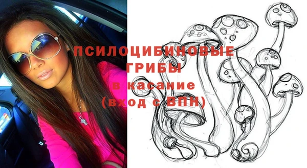 соль ск Зеленодольск
