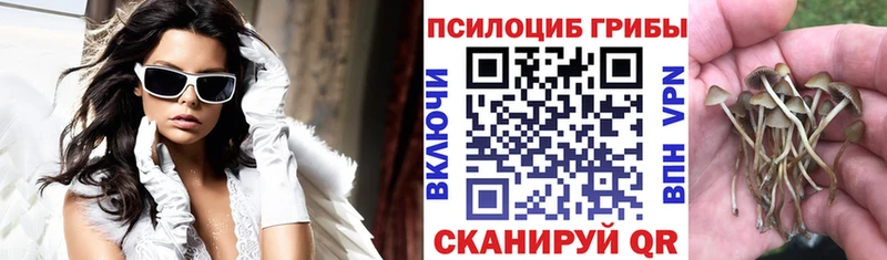 Псилоцибиновые грибы Psilocybine cubensis  Купить закладки  Сурск 